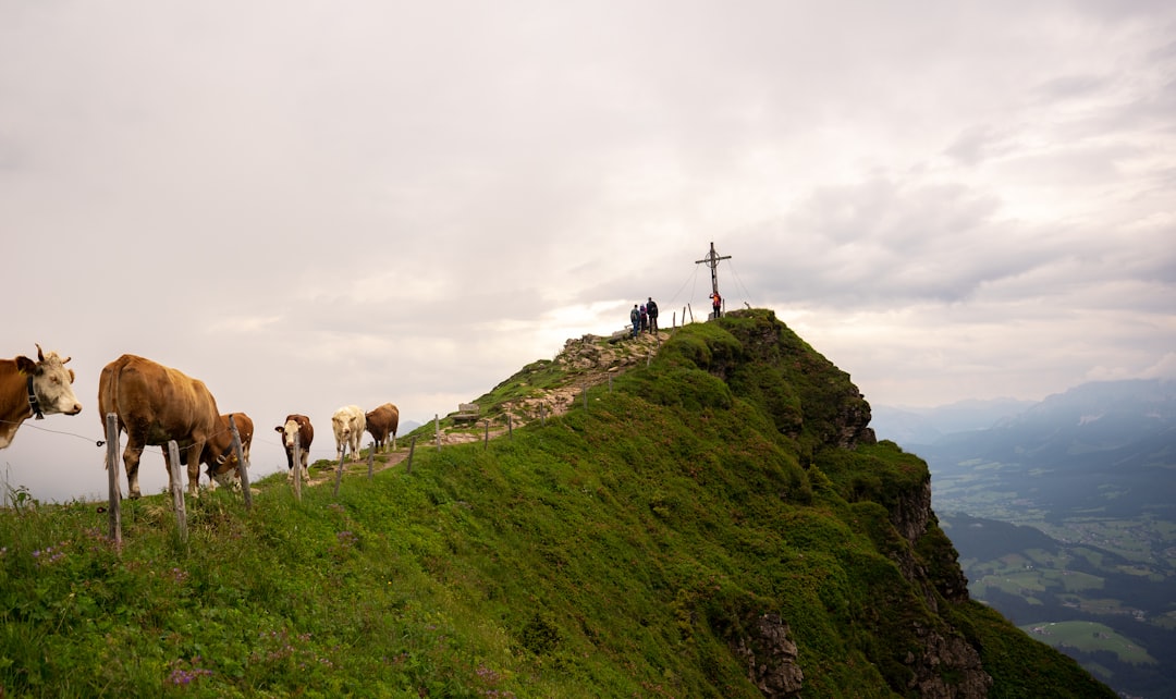 Mountain photo spot Kitzbüheler Horn Leogang