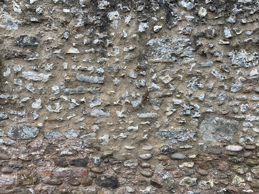 brown and gray stone fragments