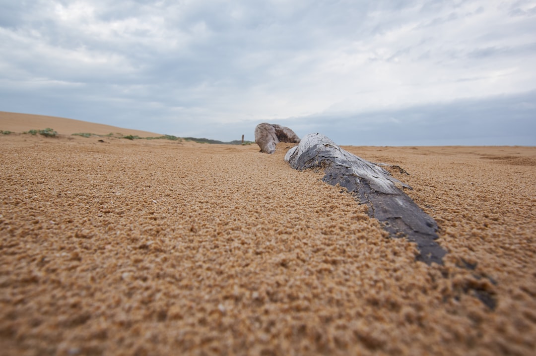 brown sand under white clouds during daytime