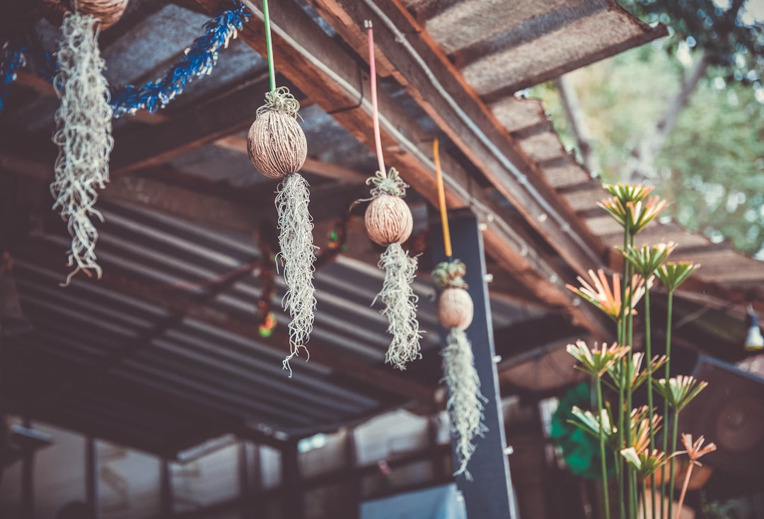 brown and blue hanging decor