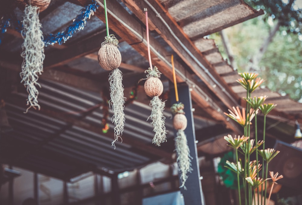 brown and blue hanging decor