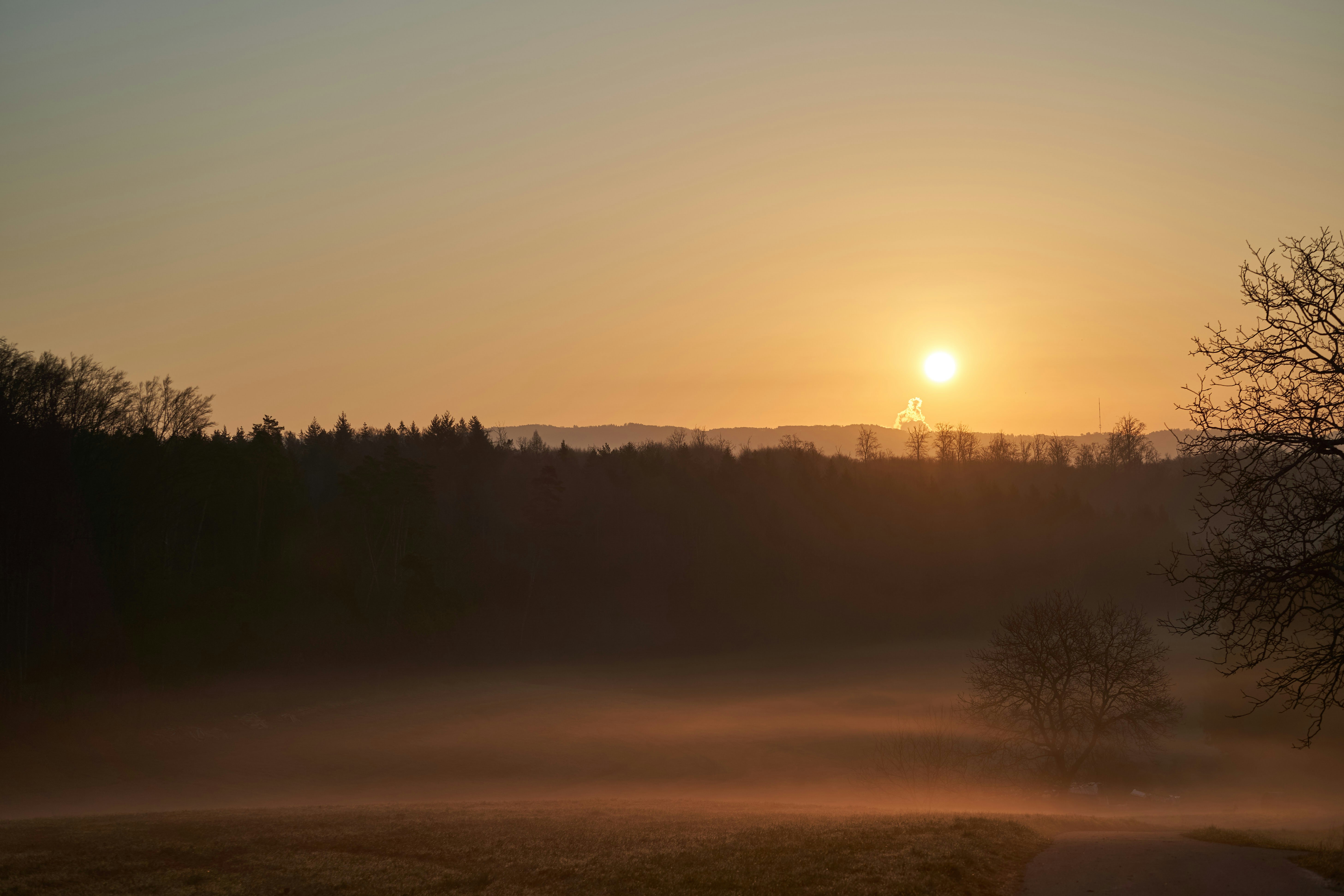 Photo by wolfgang_hasselmann