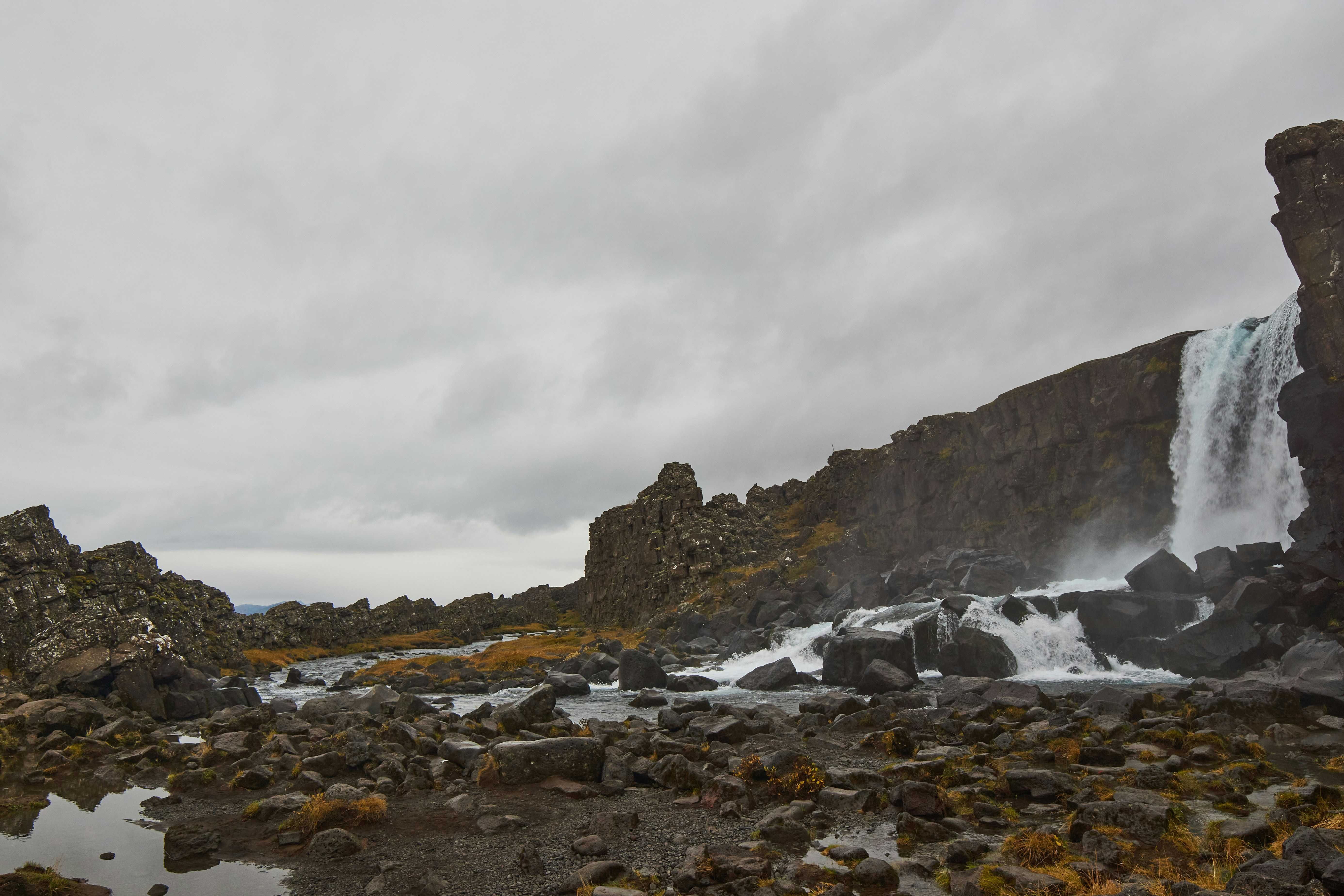 Photo by wolfgang_hasselmann