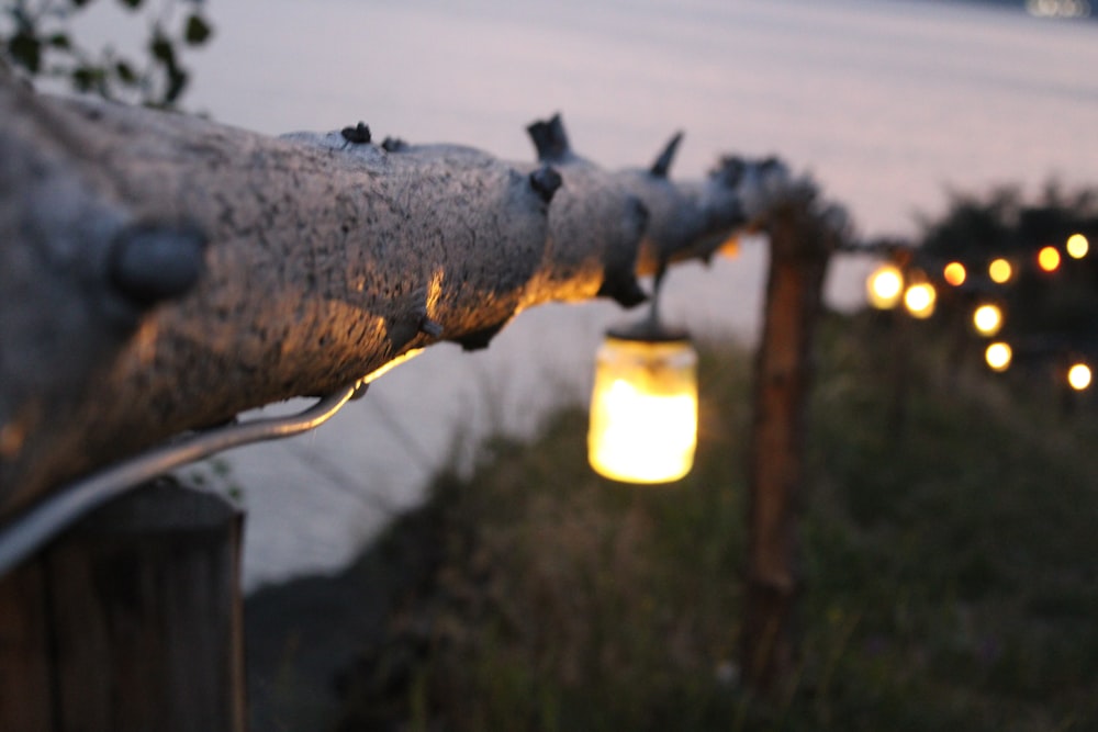 brown wooden fence with string lights
