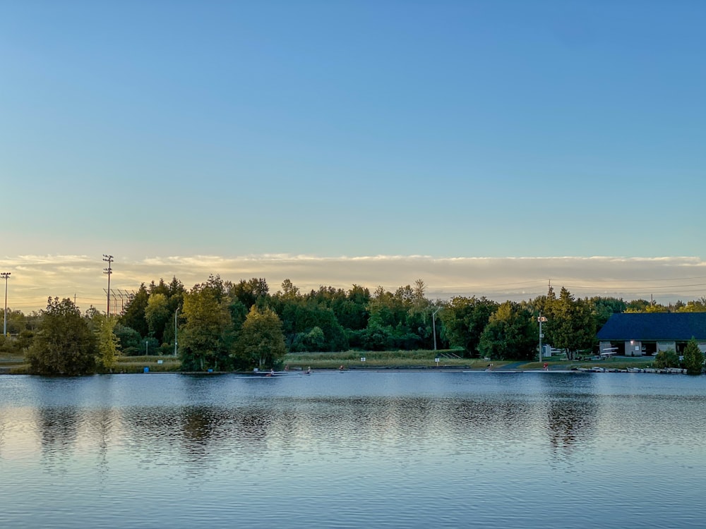 green trees beside body of water under blue sky during daytime