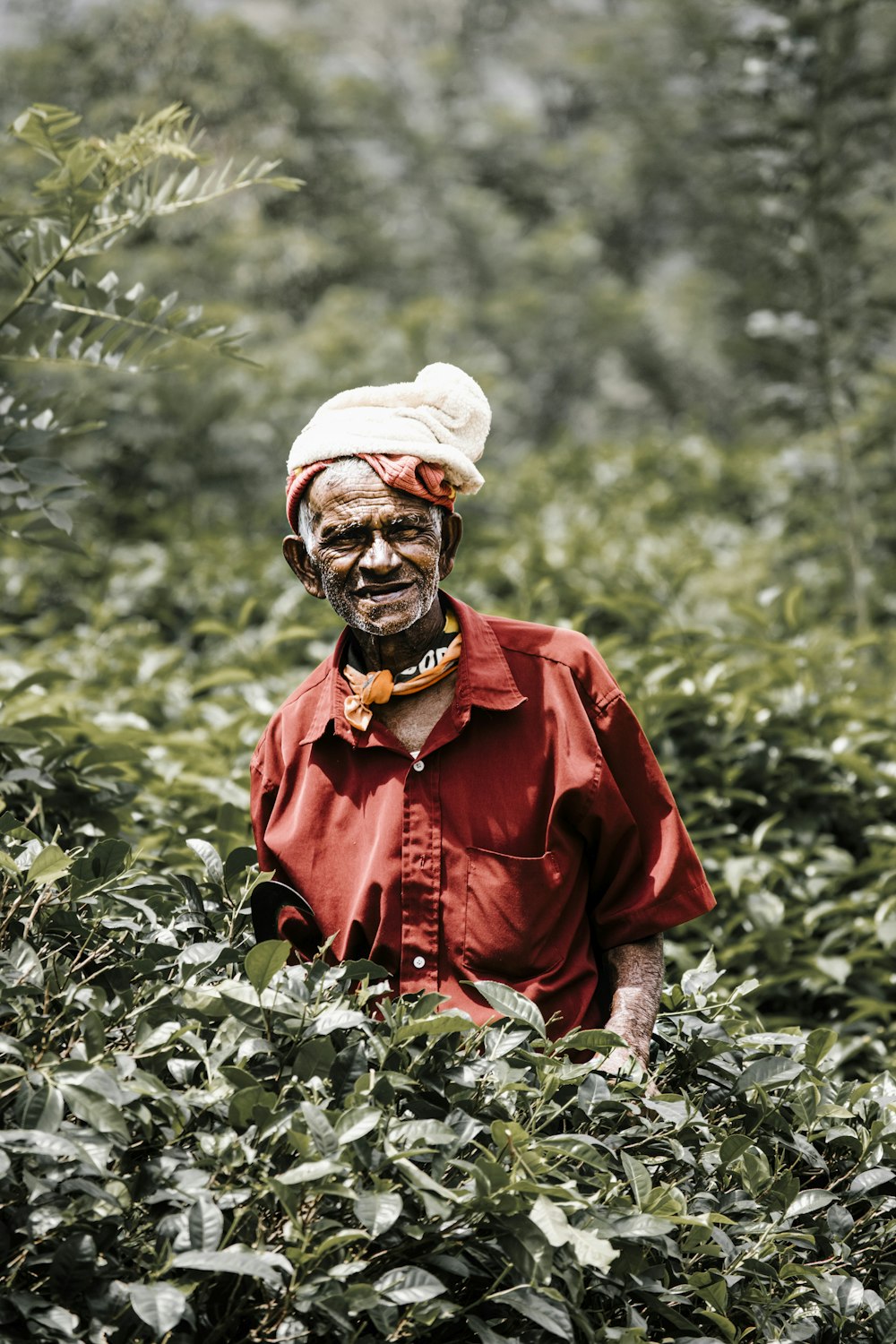 man in red dress shirt and white cap standing near green plants during daytime