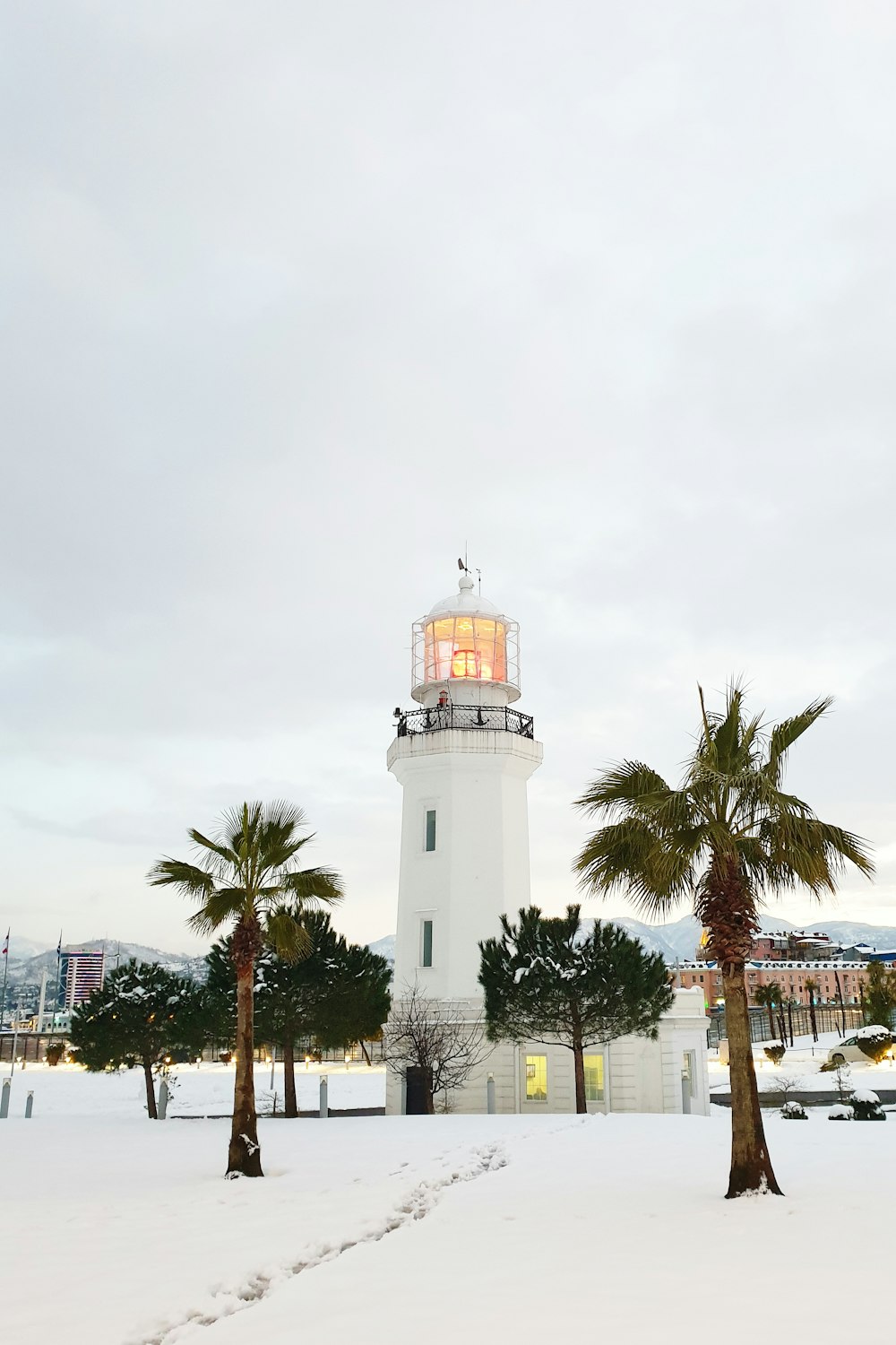 white and brown lighthouse near green palm trees during daytime