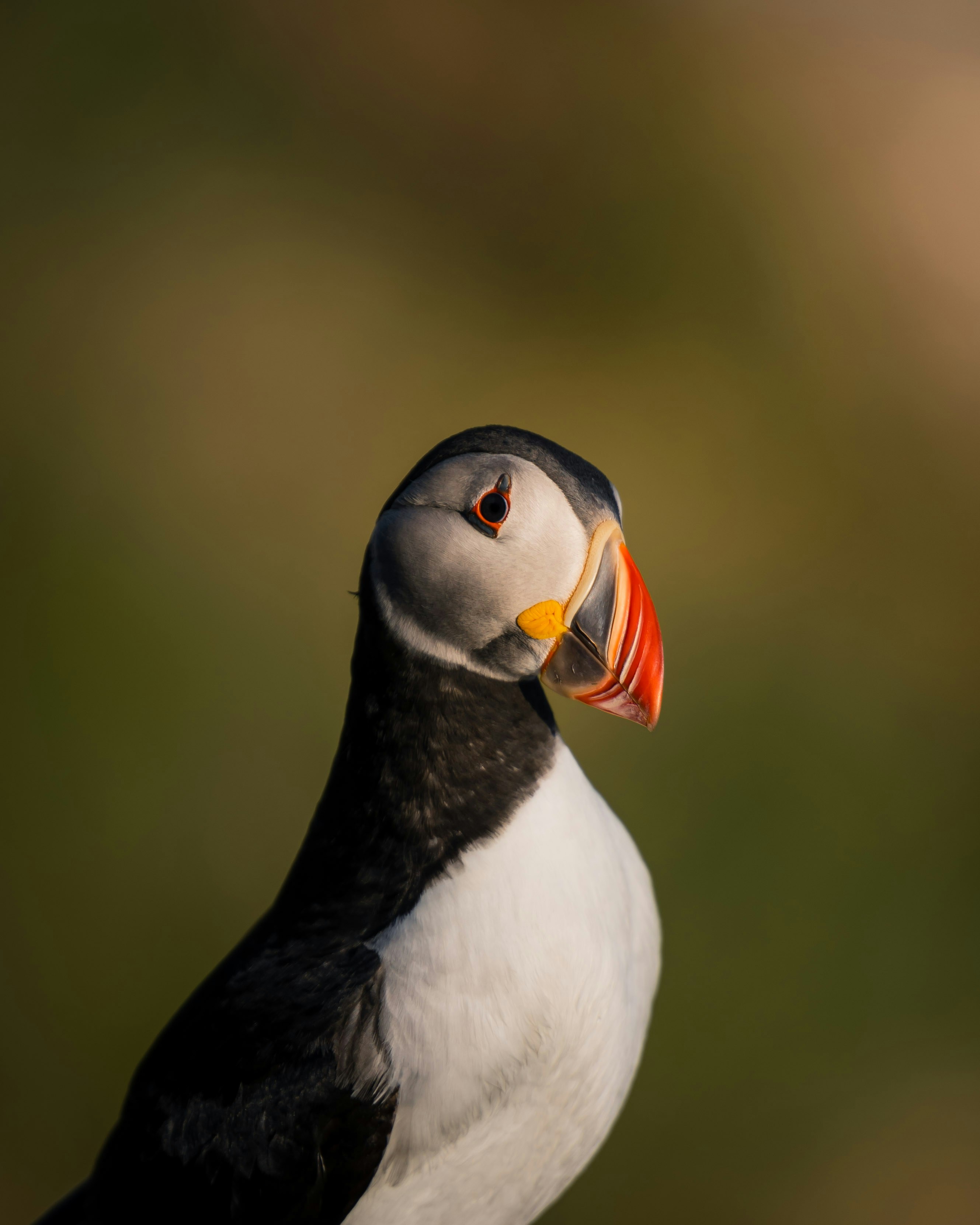 Photo by lachlangowen