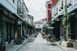 people walking on street during daytime