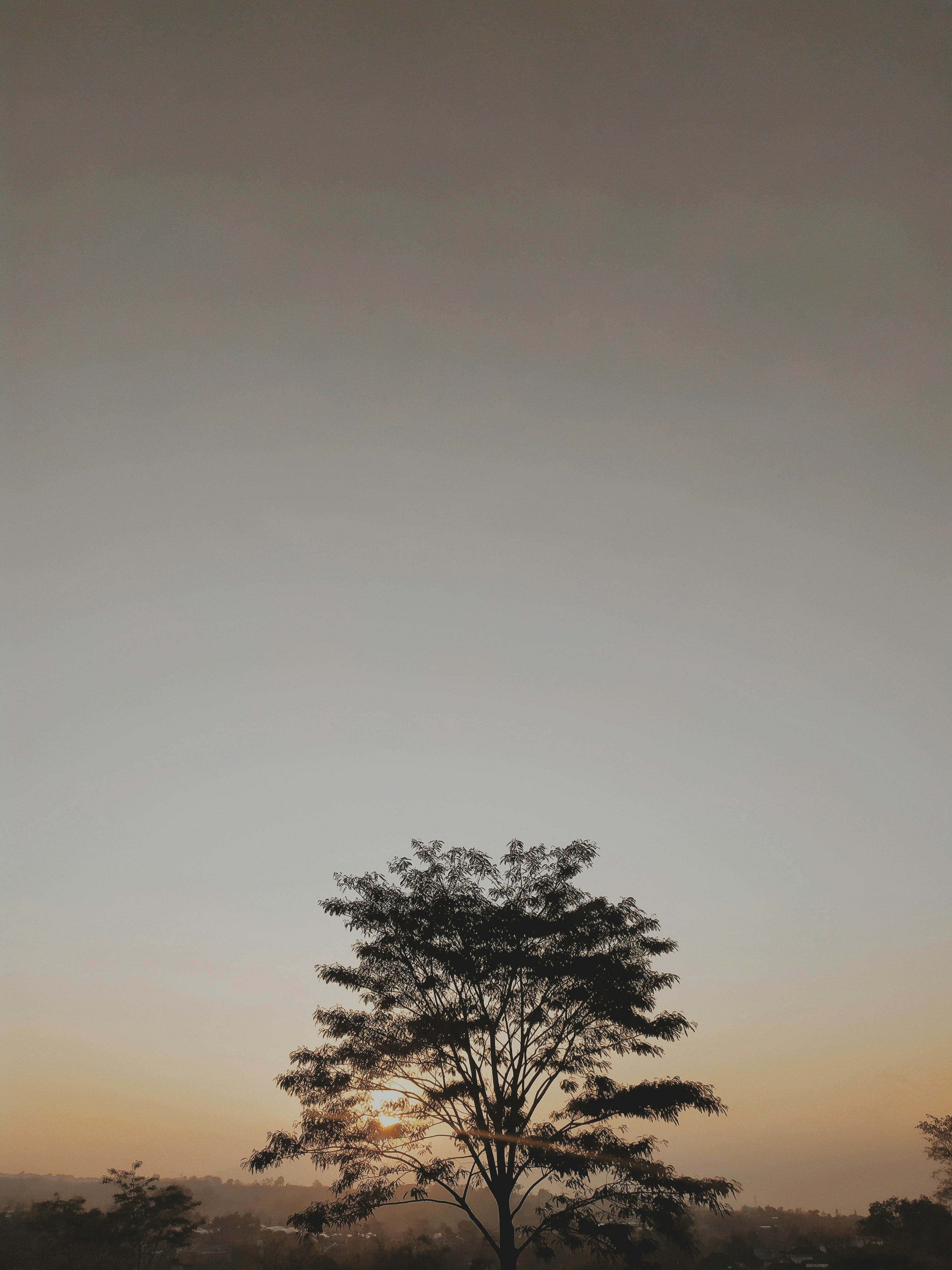 Ceremonia íntima de cacao con vistas panorámicas urbanas