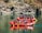 A group of people wearing helmets and life jackets engage in rafting on a calm river, navigating through rocky terrain. The scene is set against a backdrop of rugged cliffs and natural greenery.