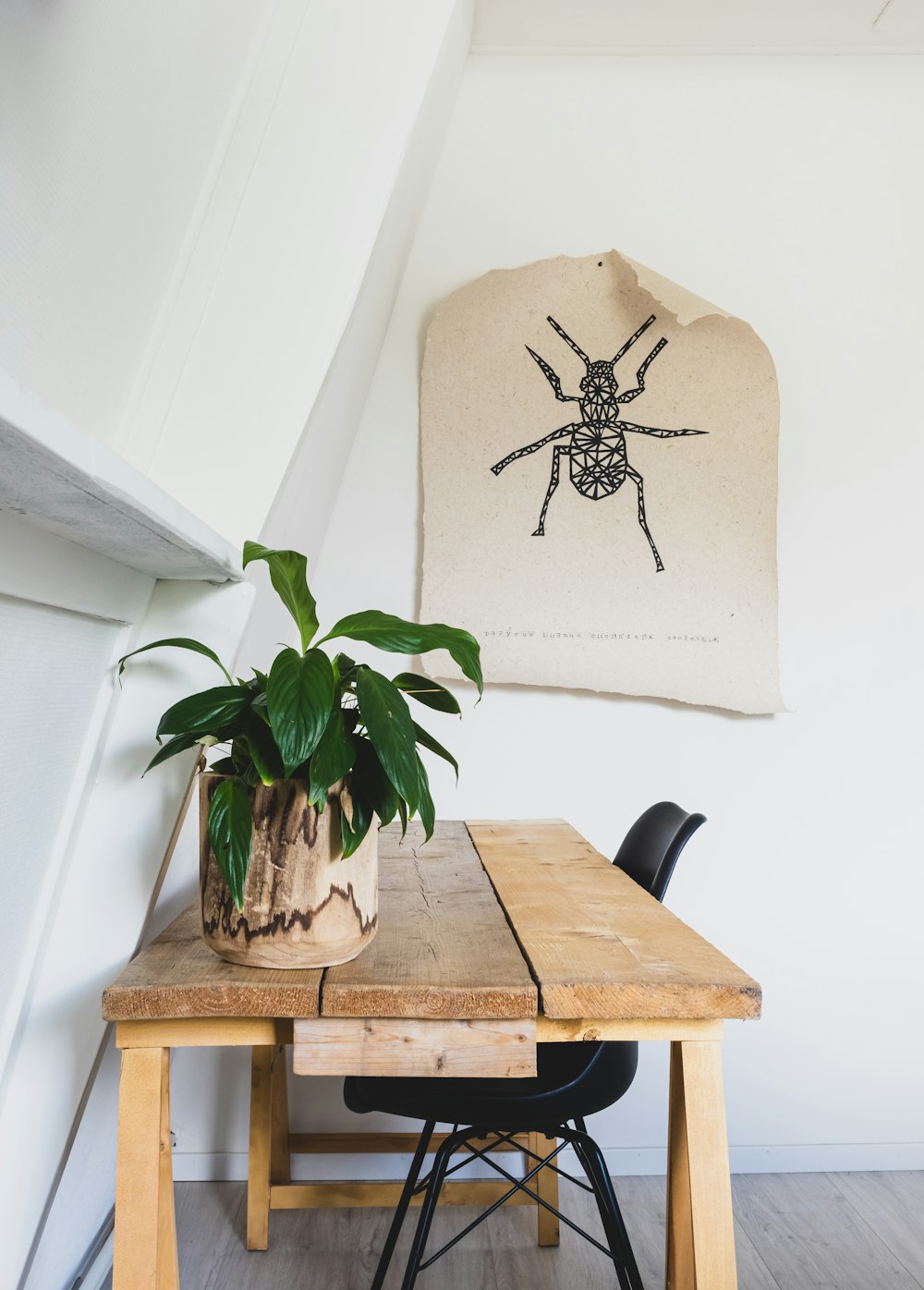 black spider on brown wooden table