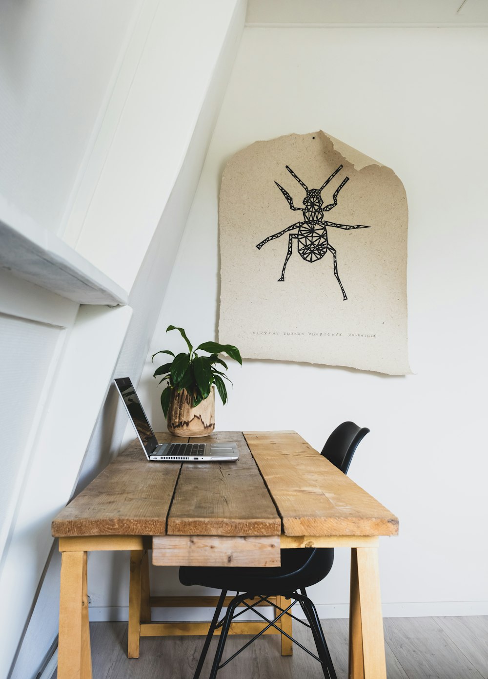 black spider on brown wooden table