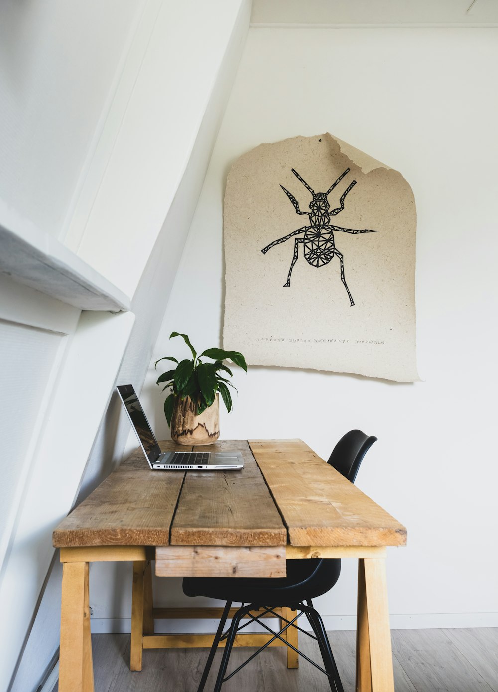 schwarze Spinne auf braunem Holztisch