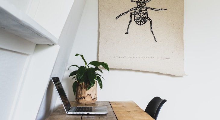 black spider on brown wooden table