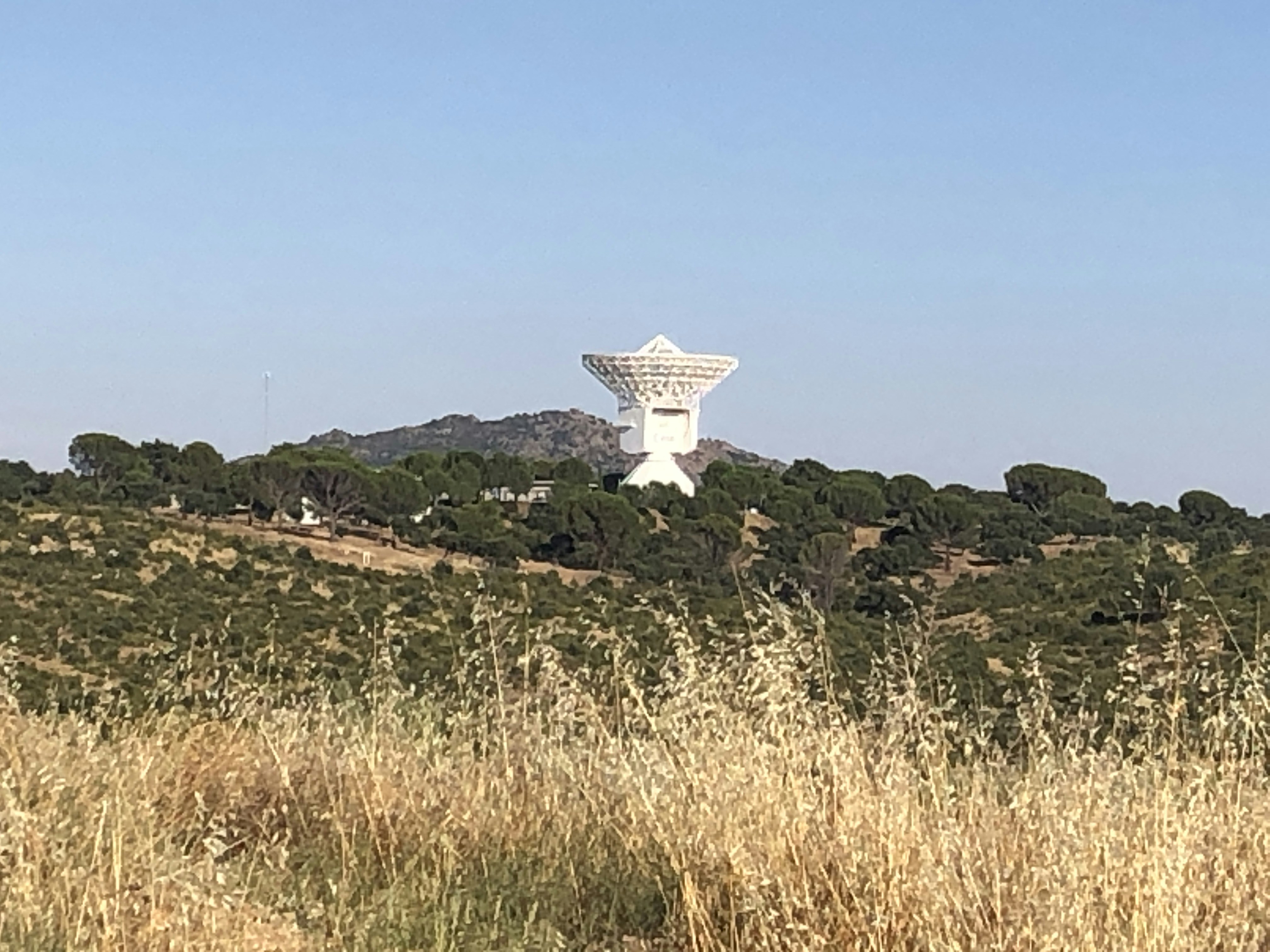 Tracer and Employability Study: BS Tourism Graduates of Laguna State Polytechnic University Los Banos Campus Image