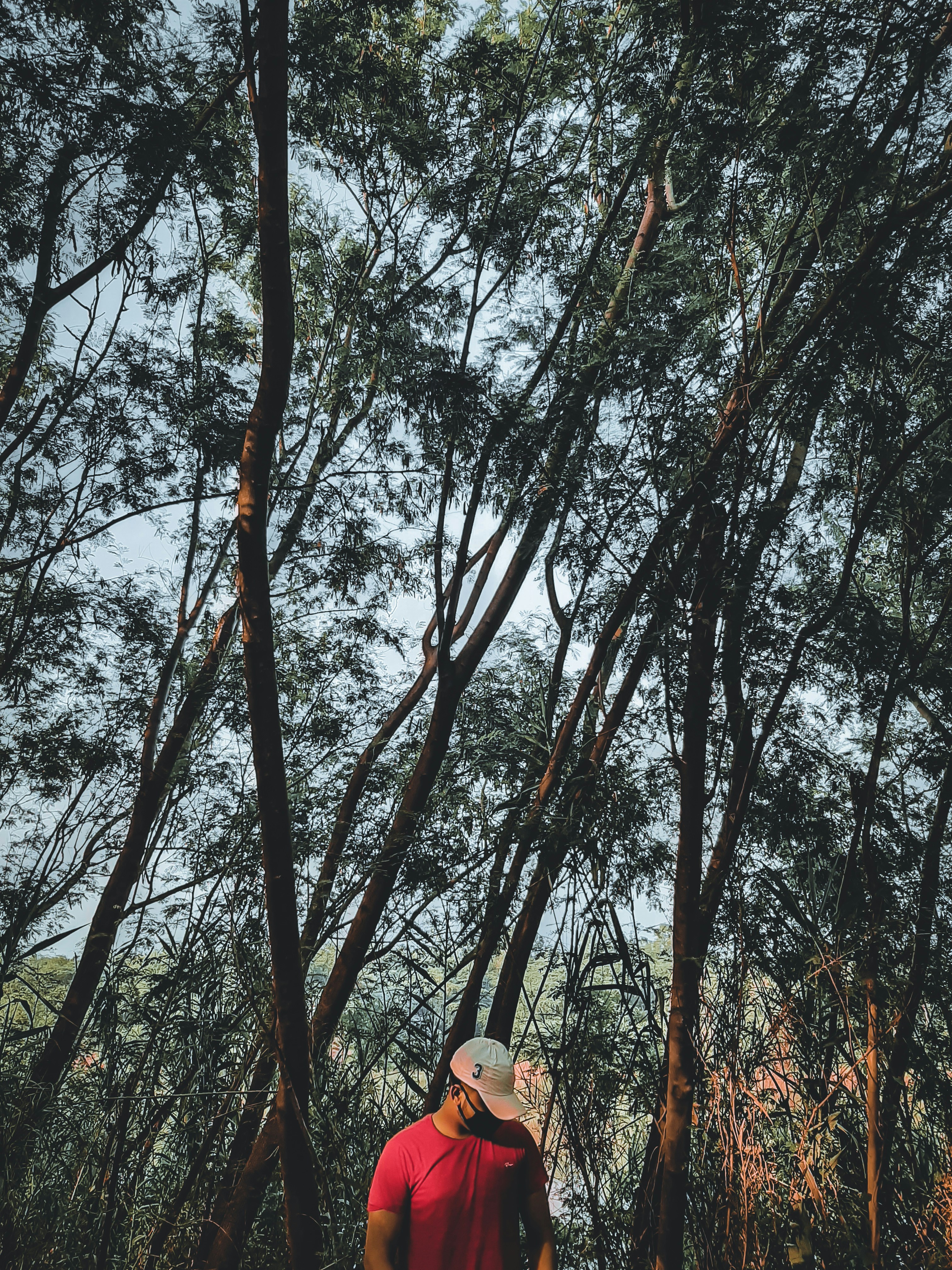 Photo by daredeviloo7