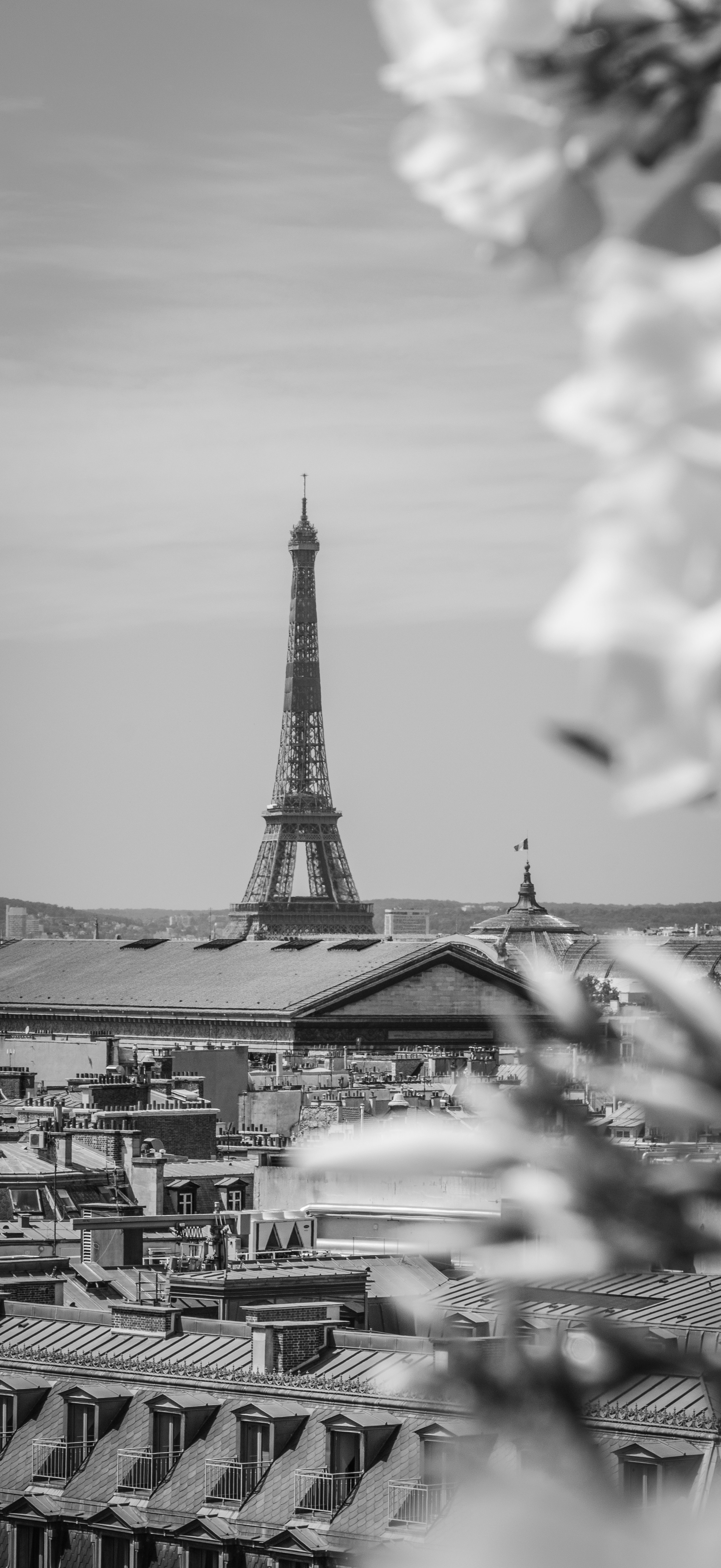 grayscale photo of city buildings with lightning