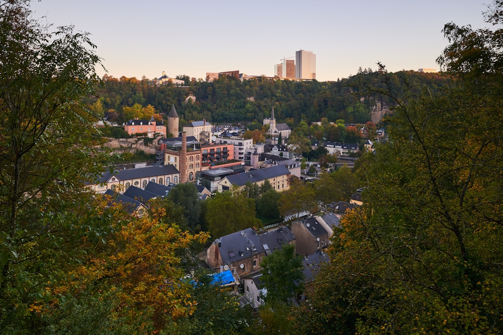 high rise buildings near green trees during daytime