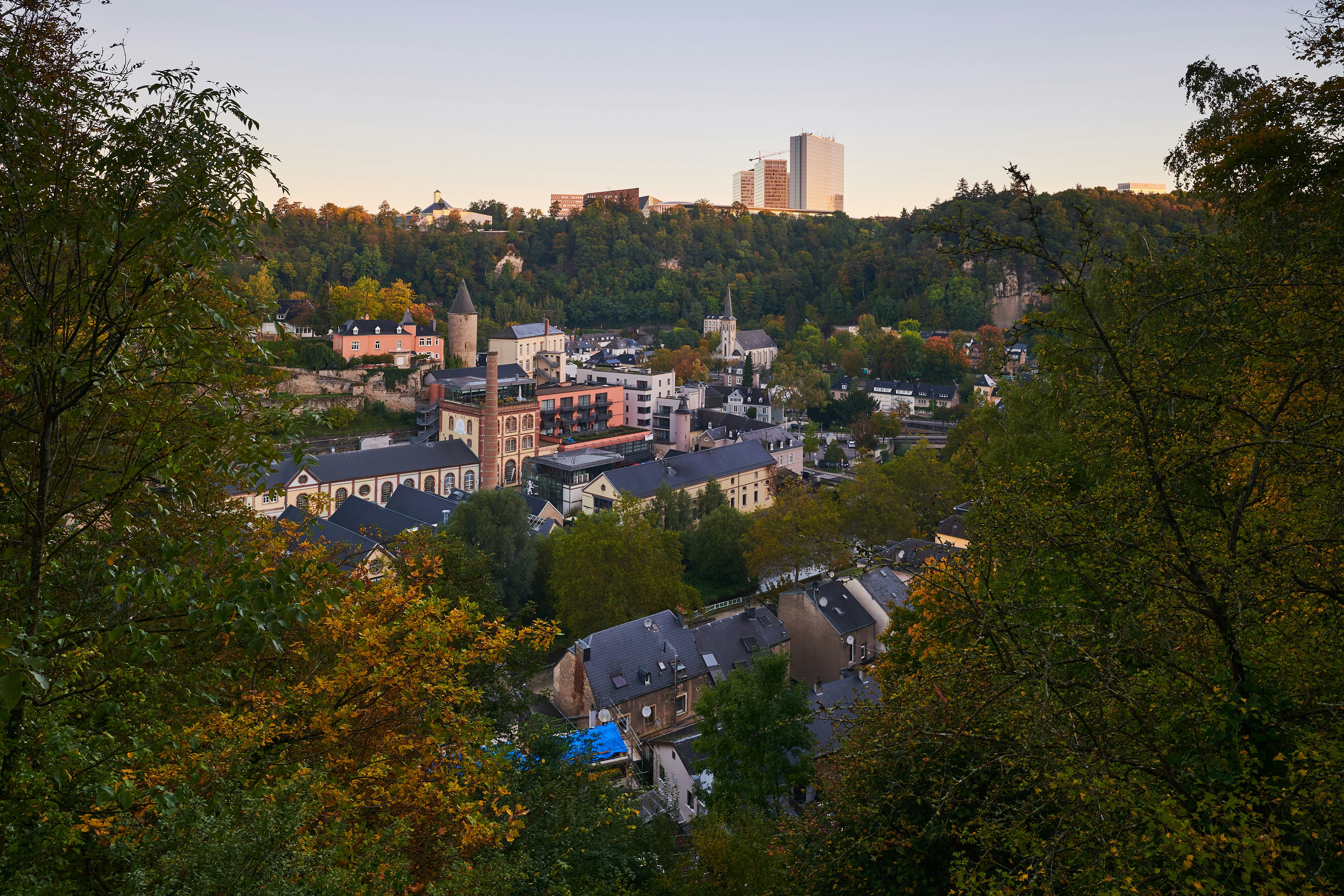 high rise buildings near green trees during daytime