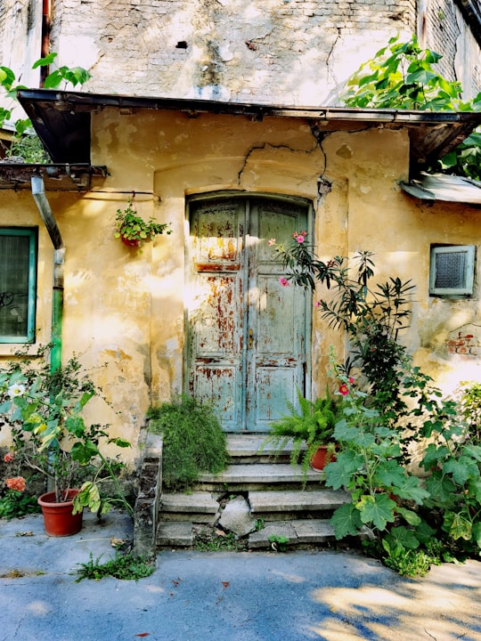 blue wooden door with green plants in Grădina Botanică Dimitrie Brândză Romania