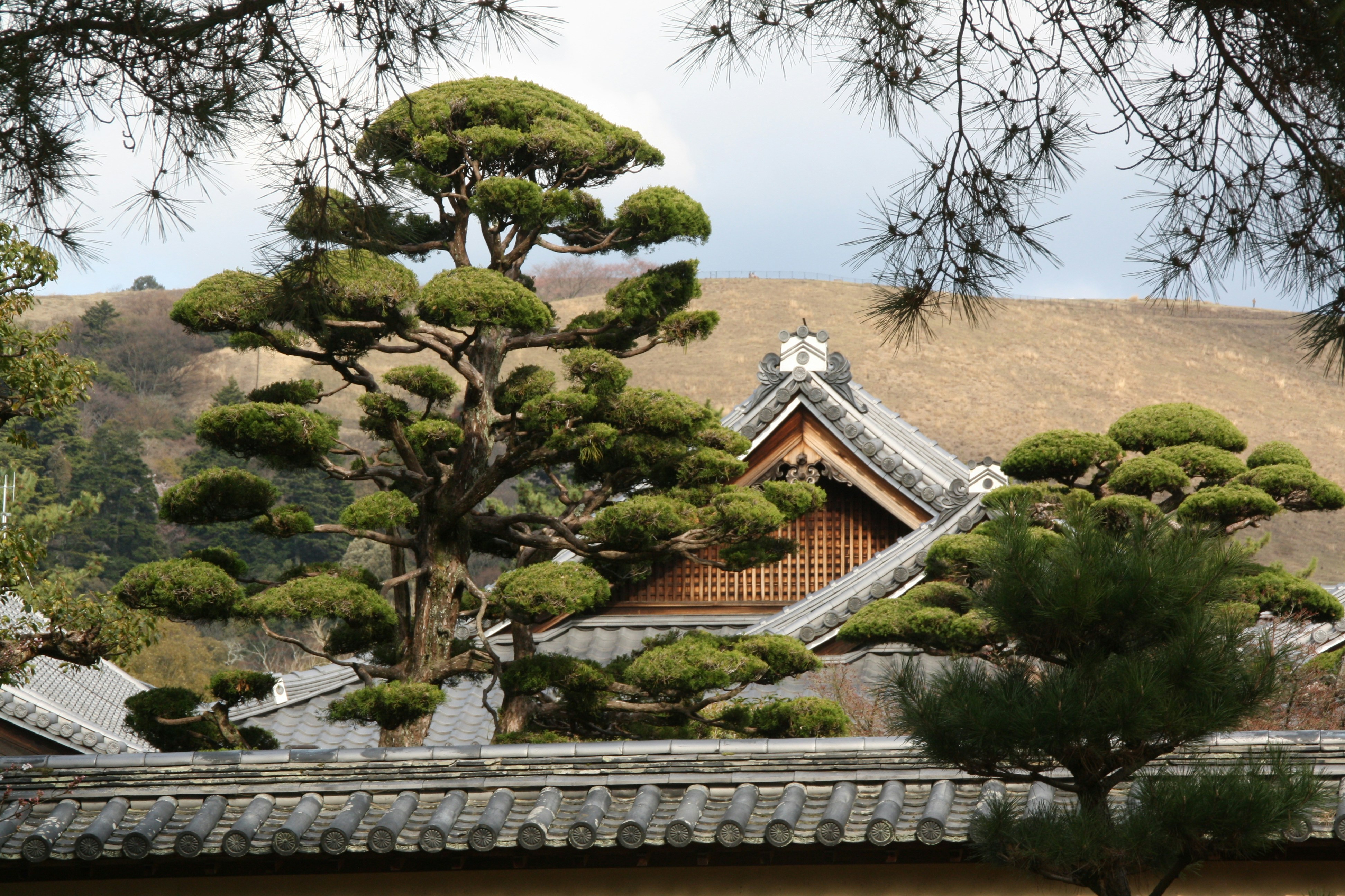 Photo by felix_lemke