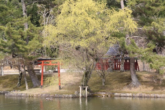 brown wooden house near river during daytime in Nara Japan