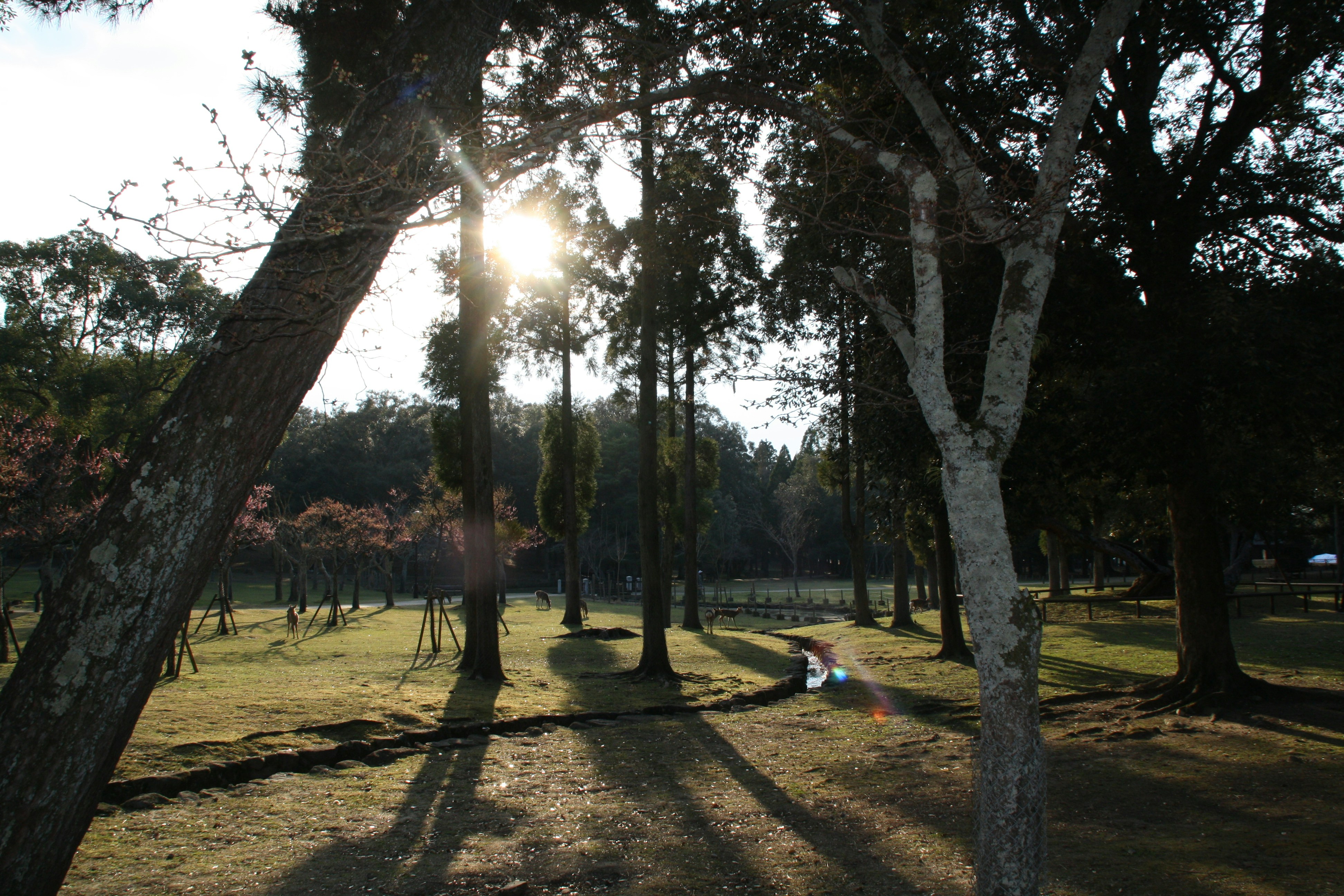 Photo by felix_lemke