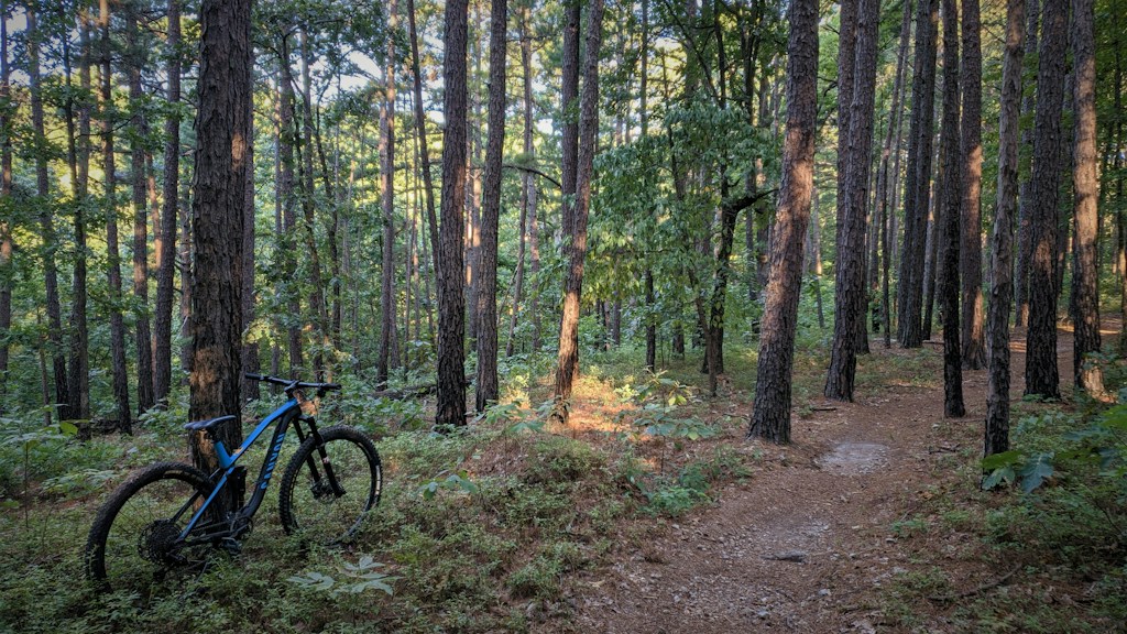 Trail Pro