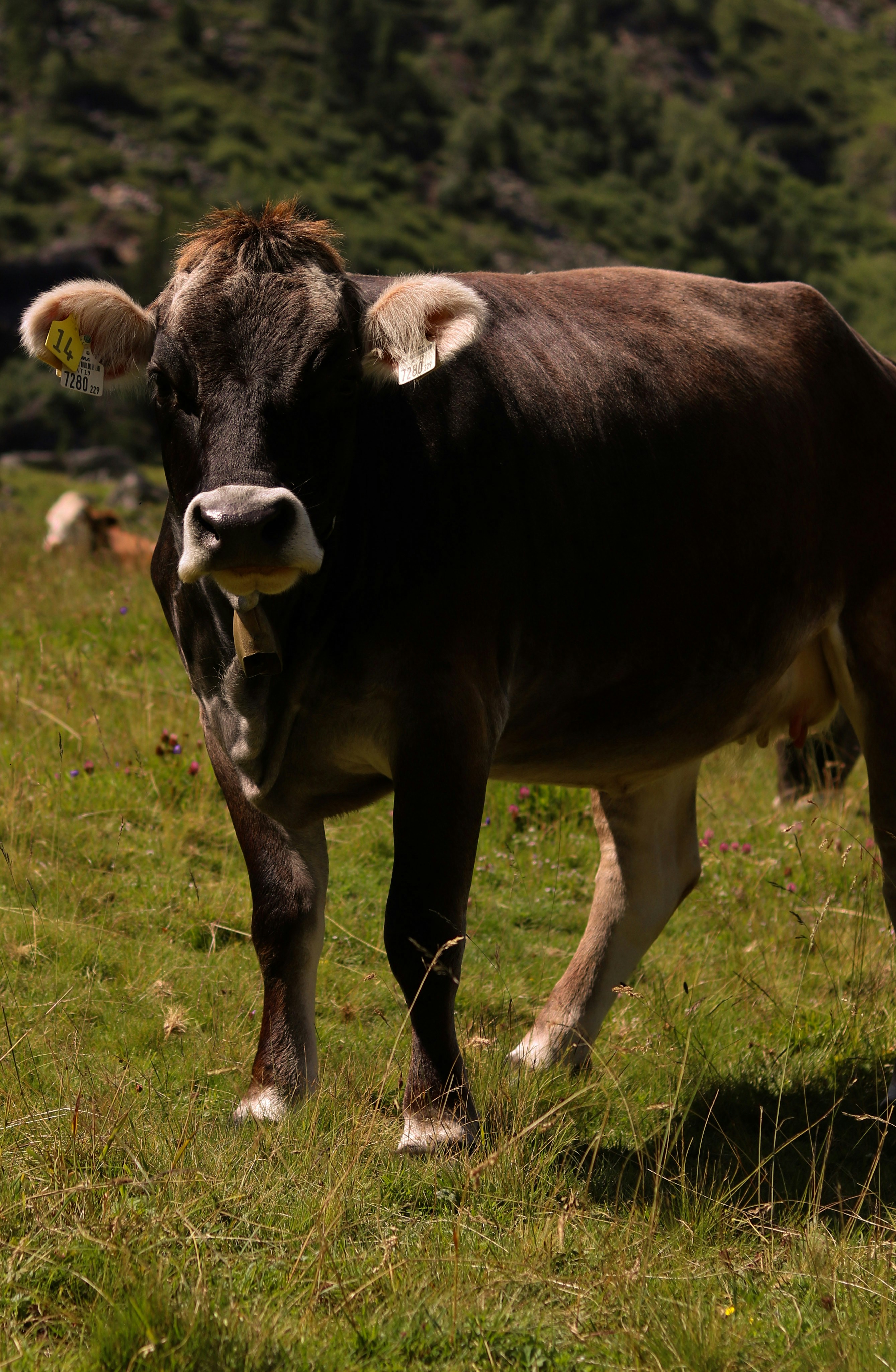 Photo by diemitdemuniontrikot