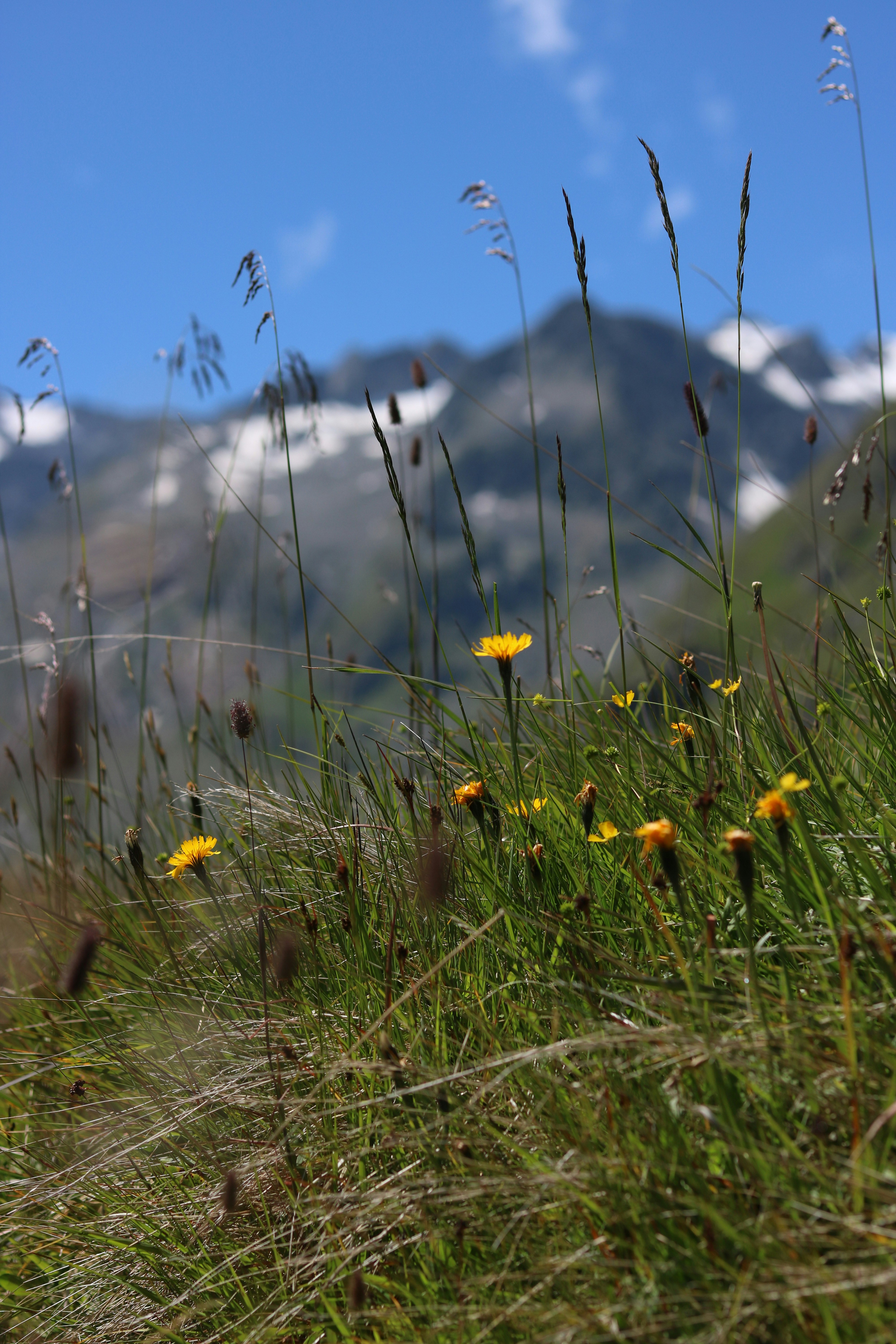 Photo by diemitdemuniontrikot