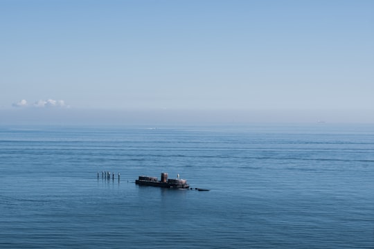 brown wooden dock on blue sea during daytime in Black Rock VIC Australia