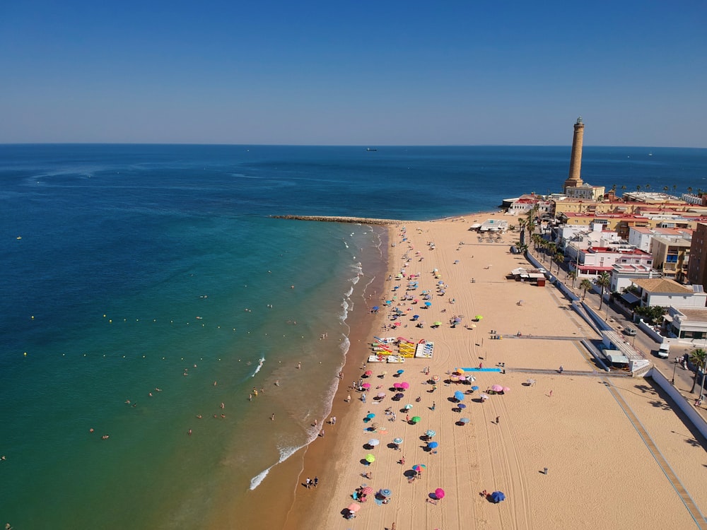 people on beach during daytime