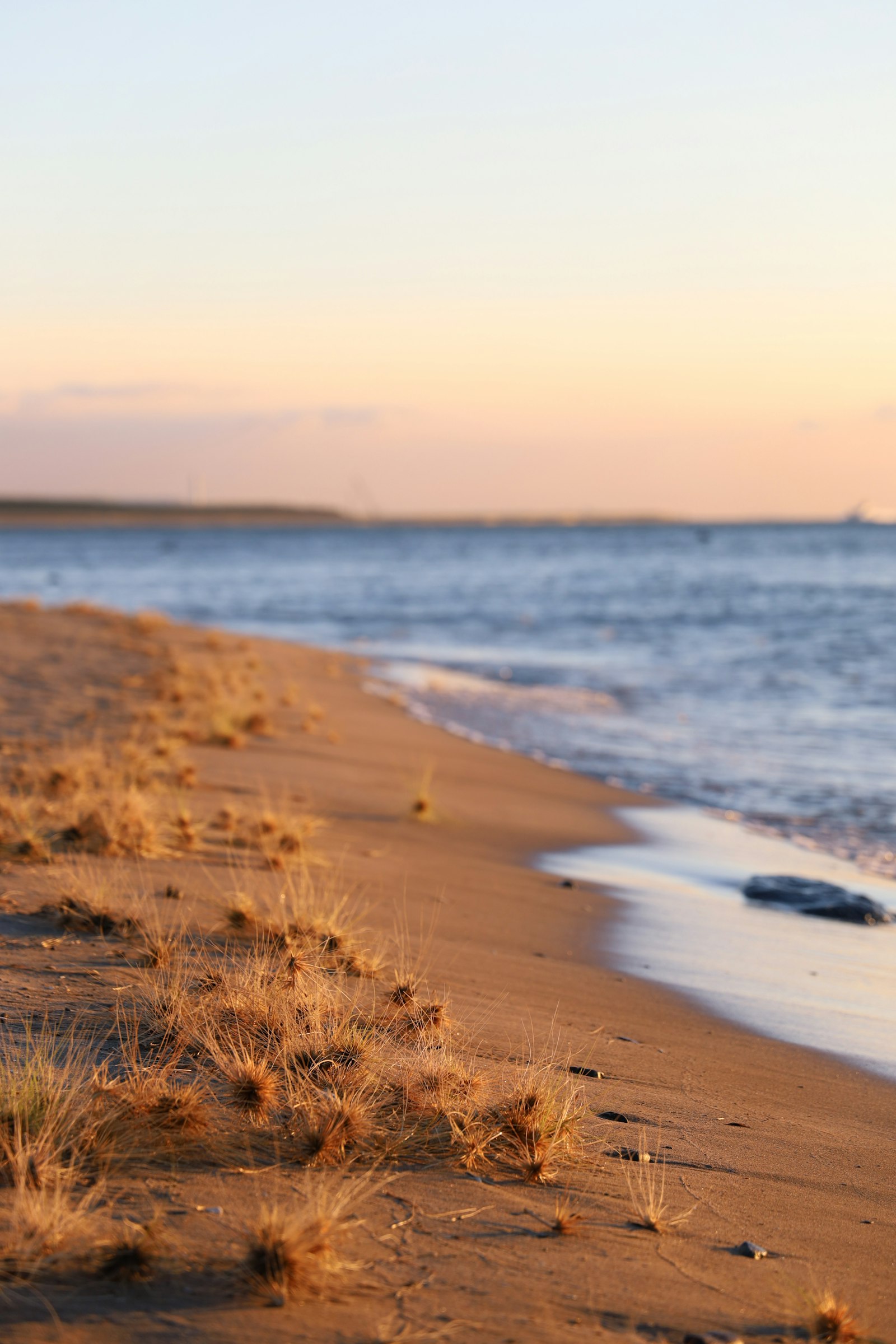 Canon EOS RP + Canon RF 24-105mm F4L IS USM sample photo. Brown grass on beach photography