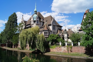 white and brown concrete building near green trees and river under blue sky during daytime