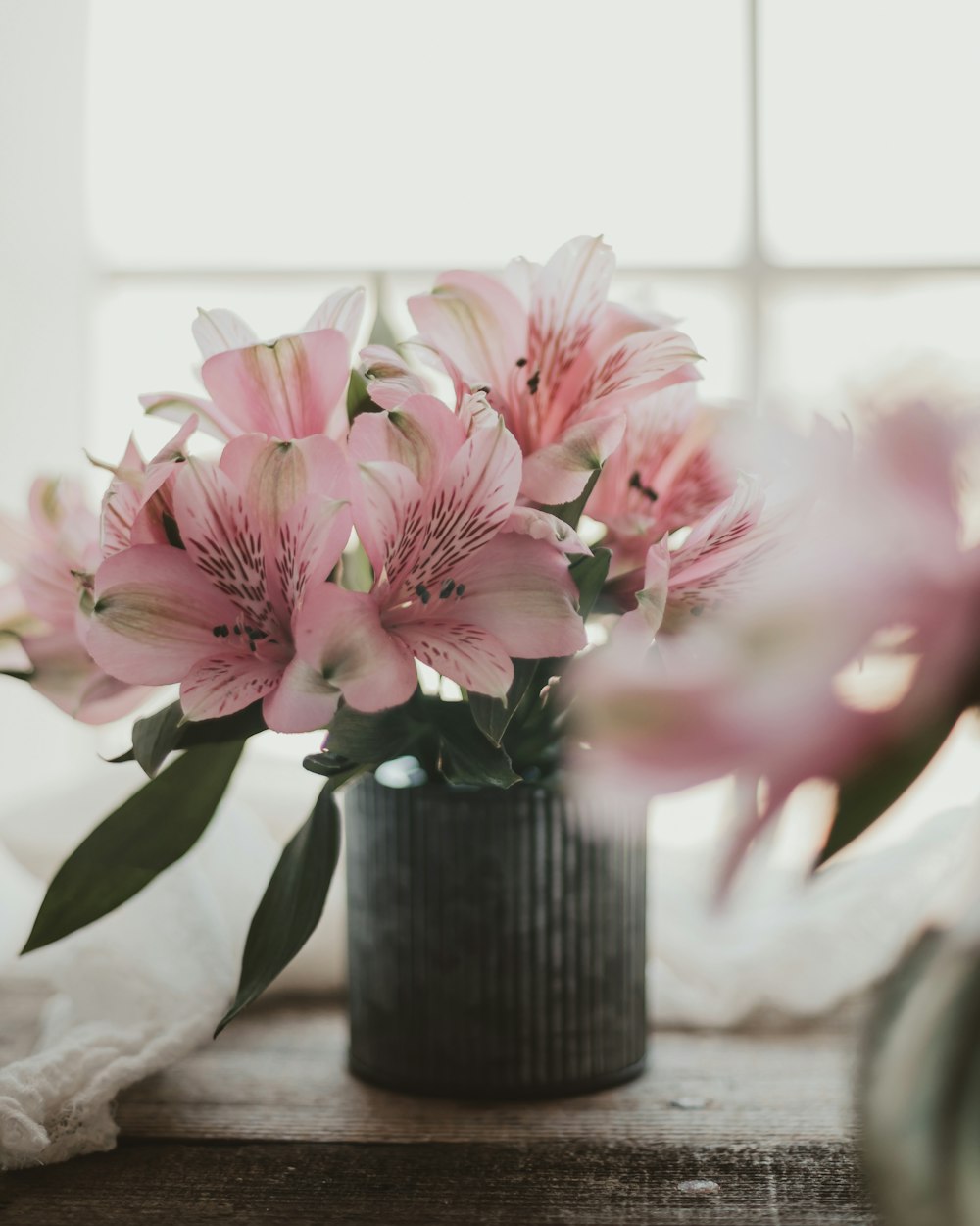 pink and white flowers in black ceramic vase