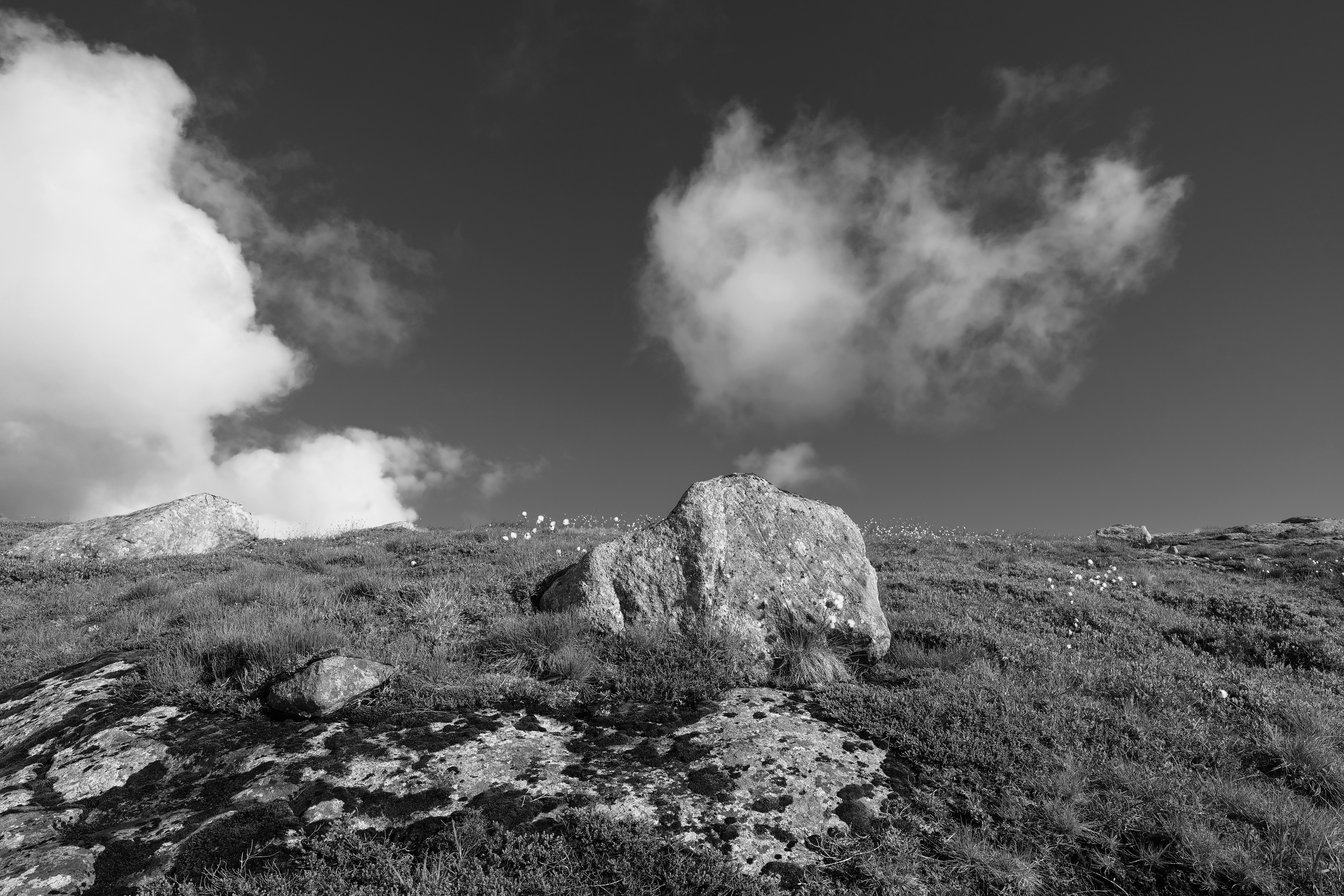 Photo by gottfriedfjeldsaa