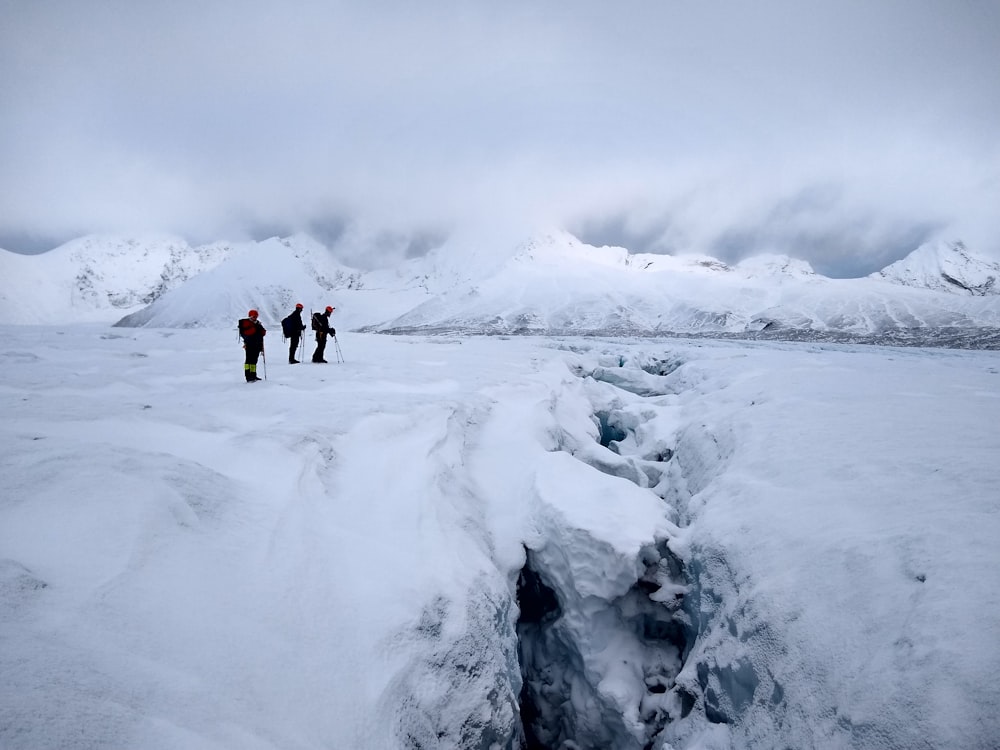 2 persone che camminano su un terreno innevato durante il giorno