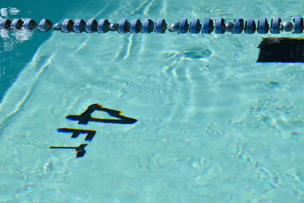 person in blue and white shorts swimming on water