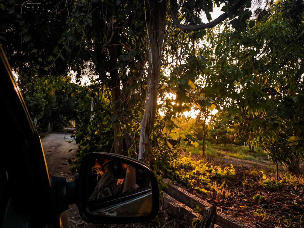 black car side mirror near green trees during daytime