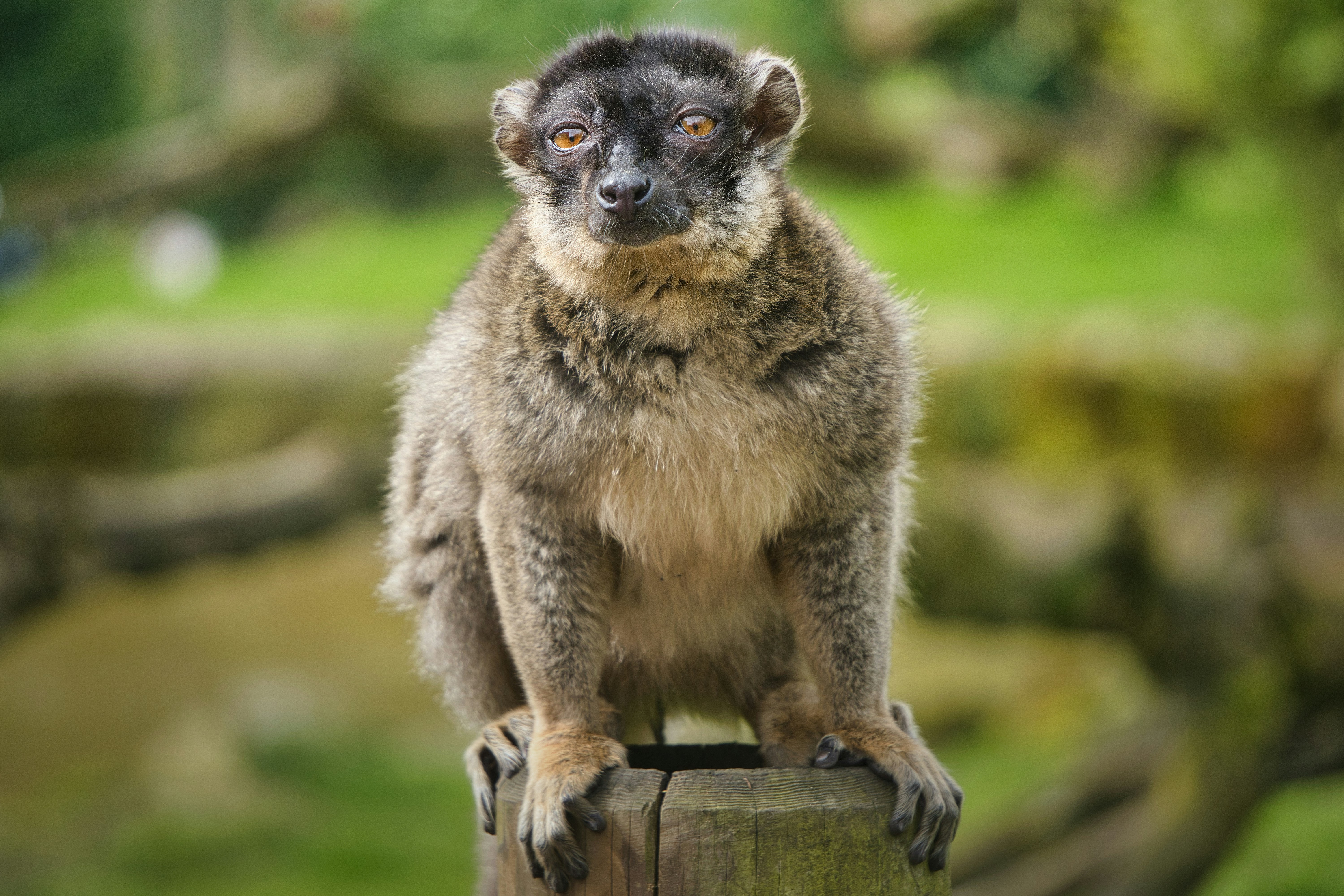 Photo by iankelsall1