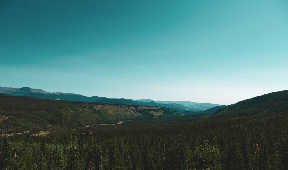 green trees and mountains under blue sky during daytime