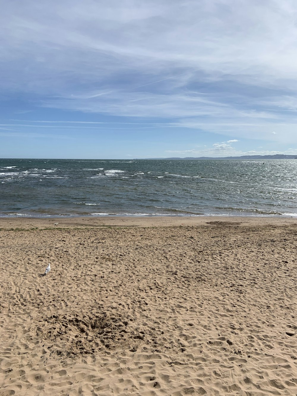 brown sand near body of water during daytime