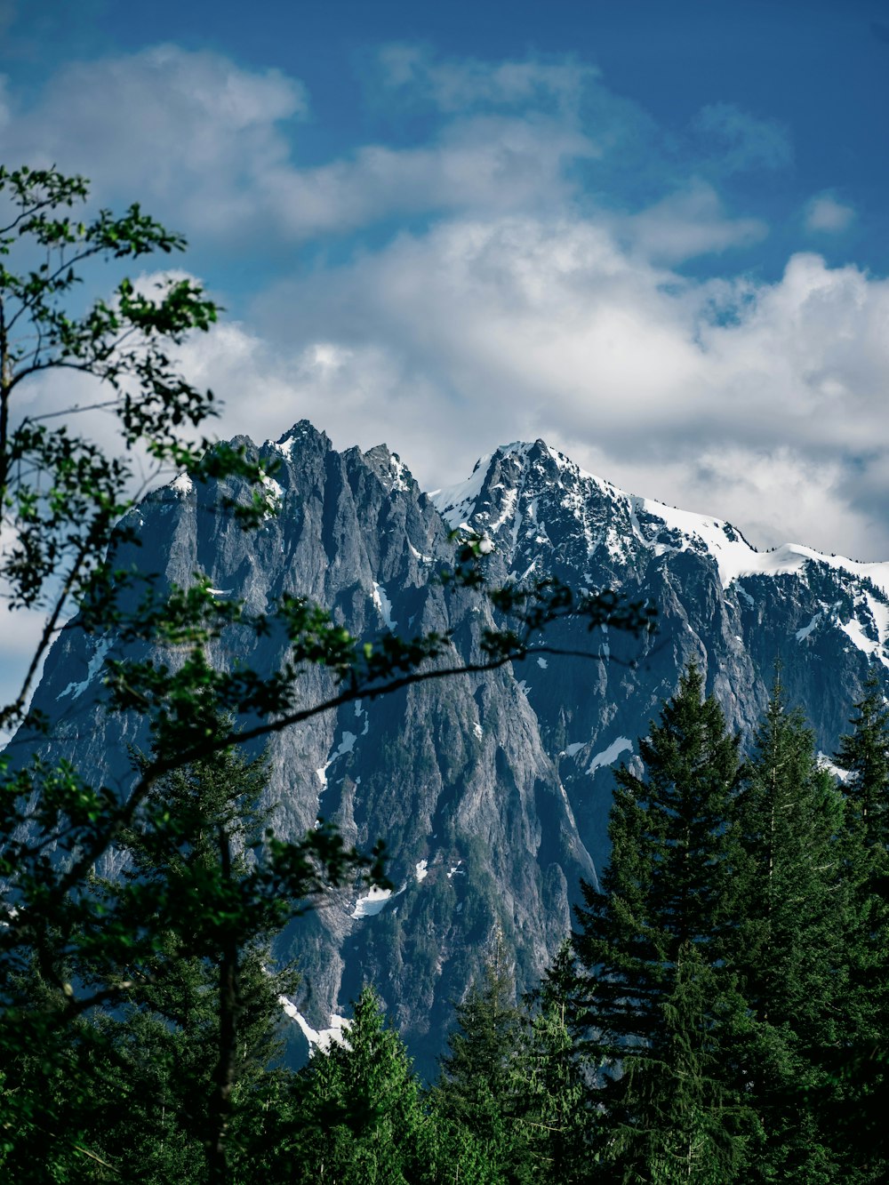 green trees near snow covered mountain under cloudy sky during daytime