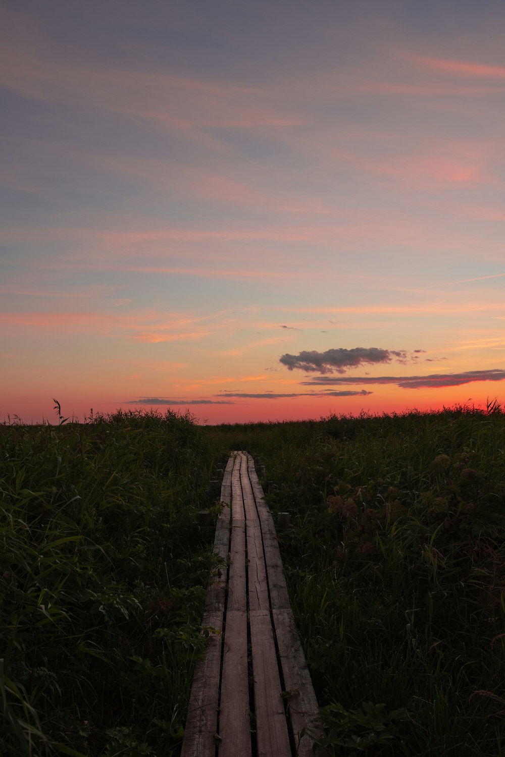 Grünes Grasfeld bei Sonnenuntergang