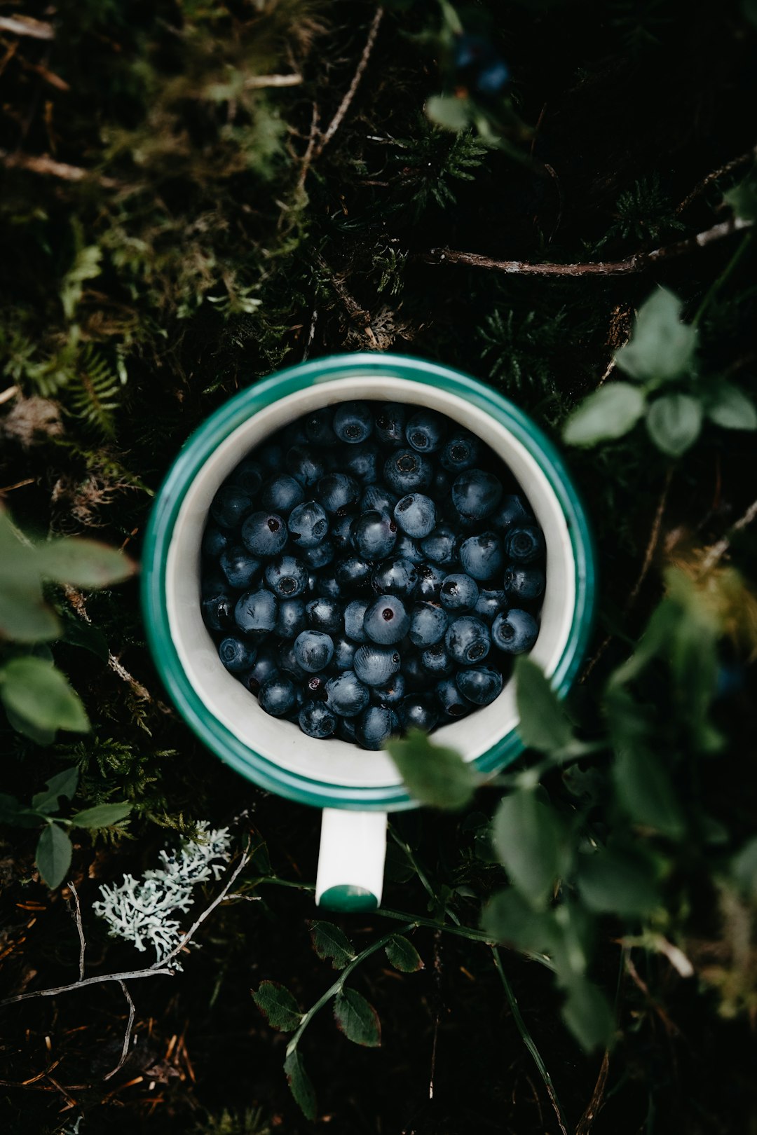 black round fruits on white ceramic bowl