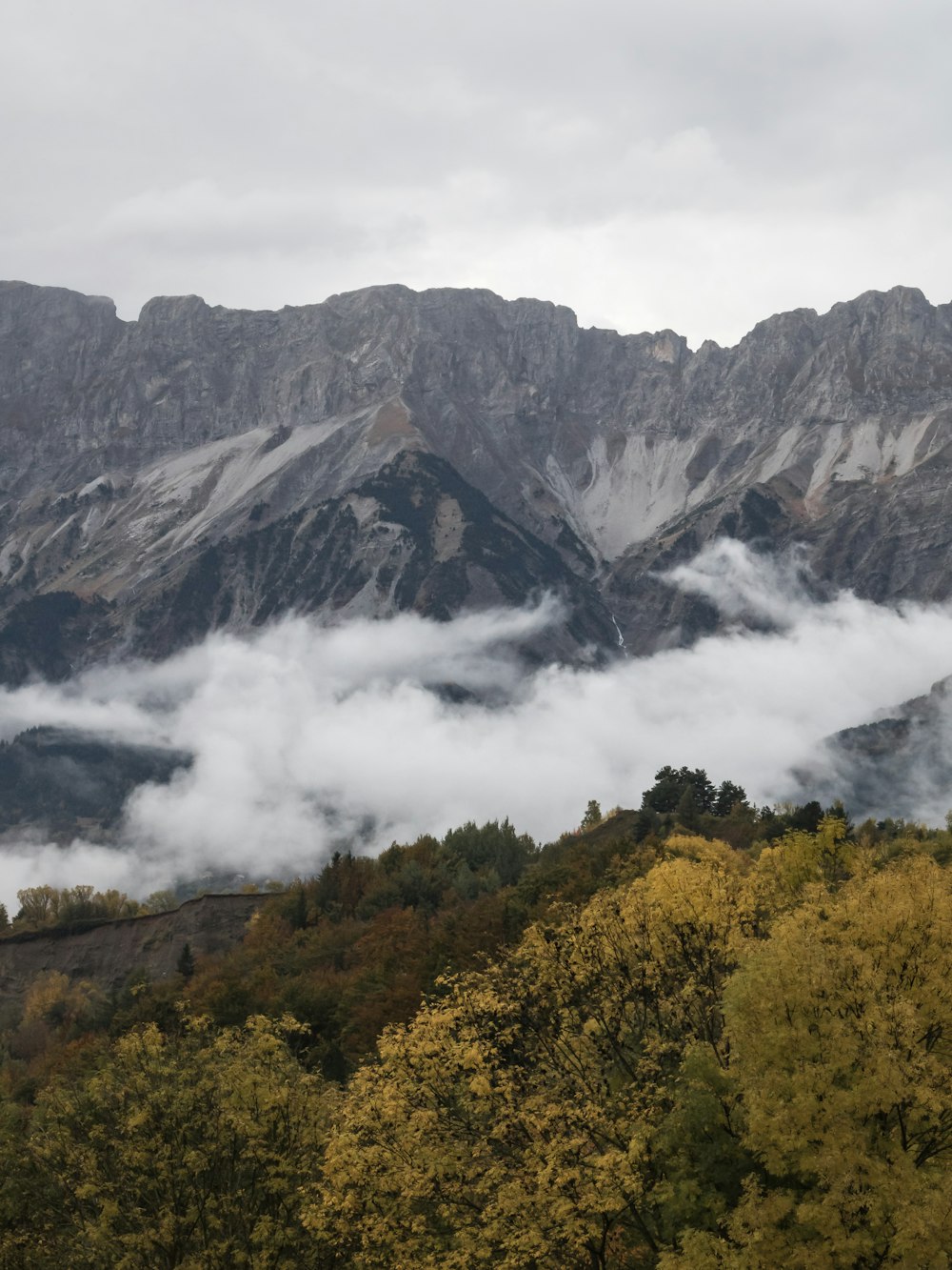 árboles verdes en la montaña bajo nubes blancas durante el día