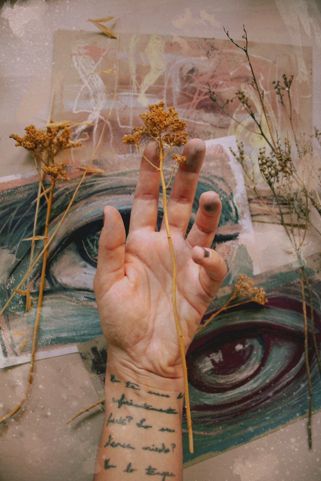 person holding brown and white flower