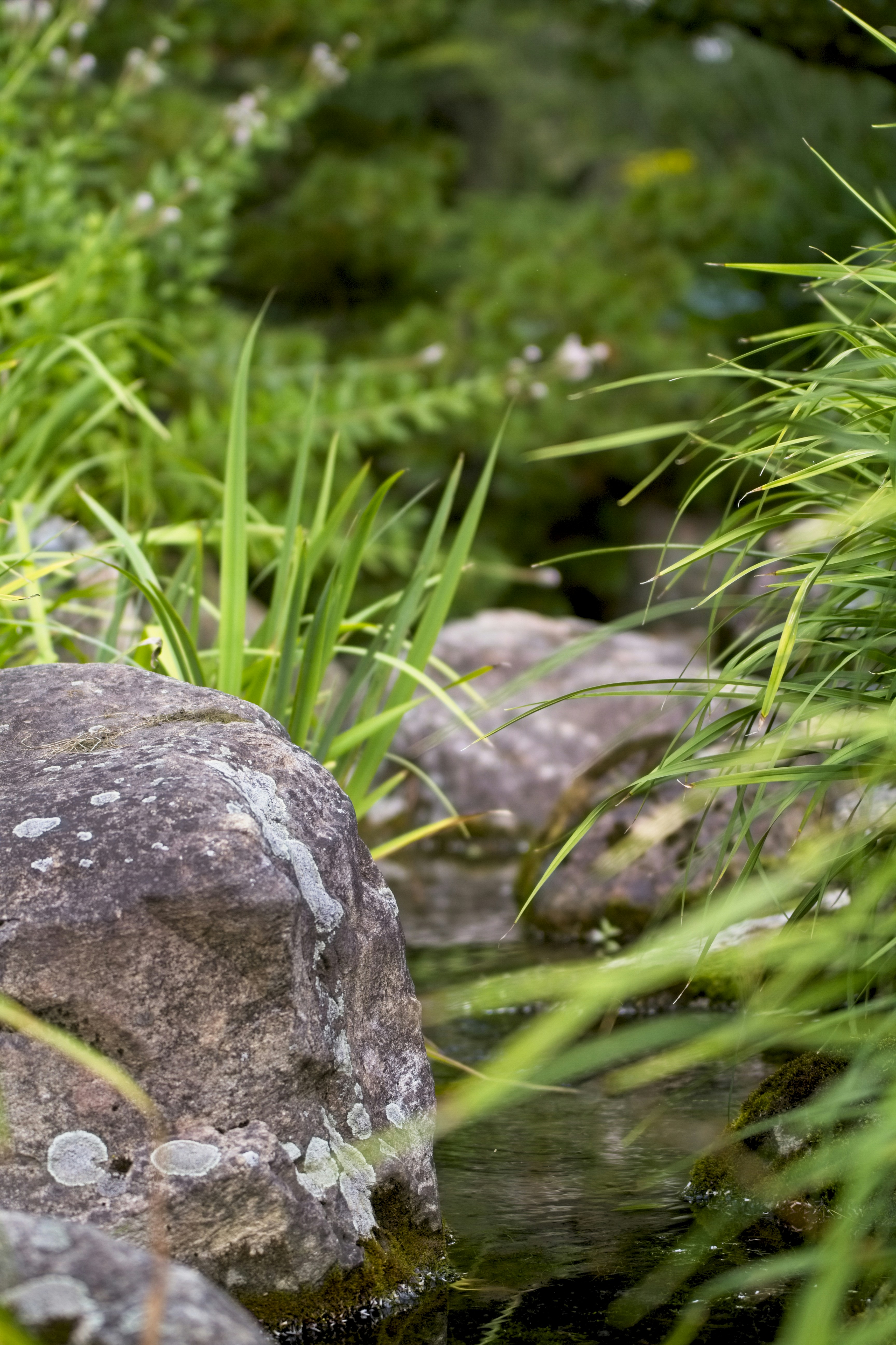 Photo by olivierbeaulieu