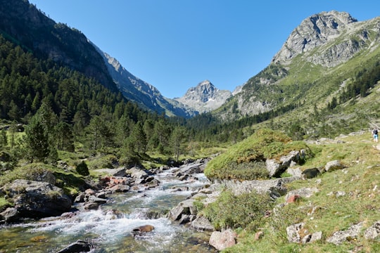 green trees on mountain under blue sky during daytime in Pyrénées National Park France